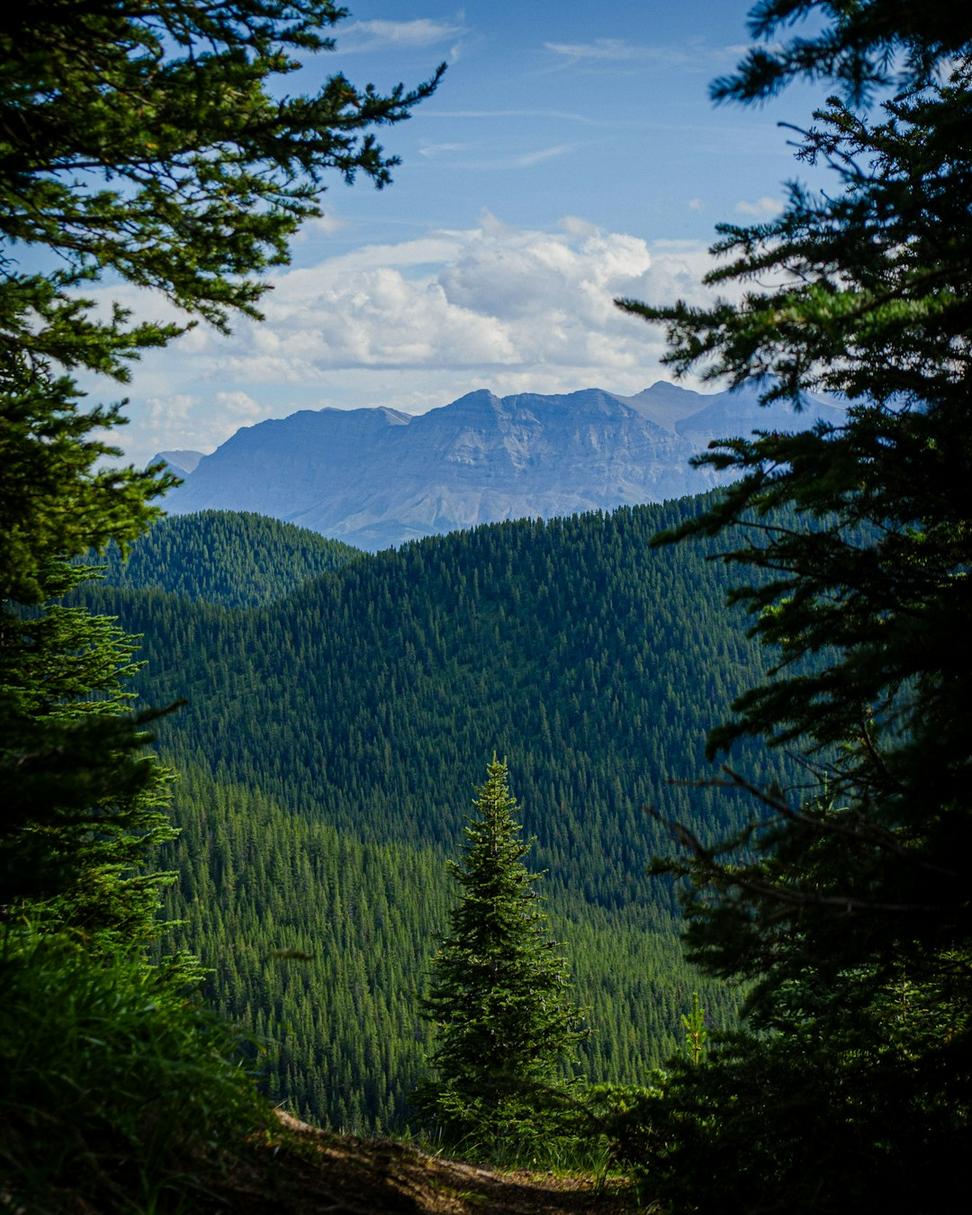 Wilderness Adventures